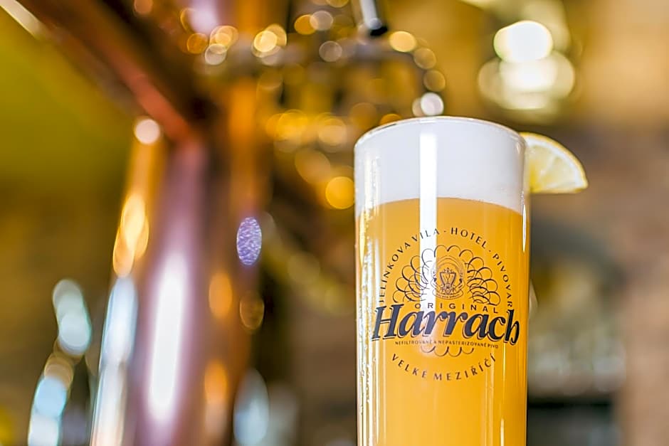 Hotel Jelínkova vila