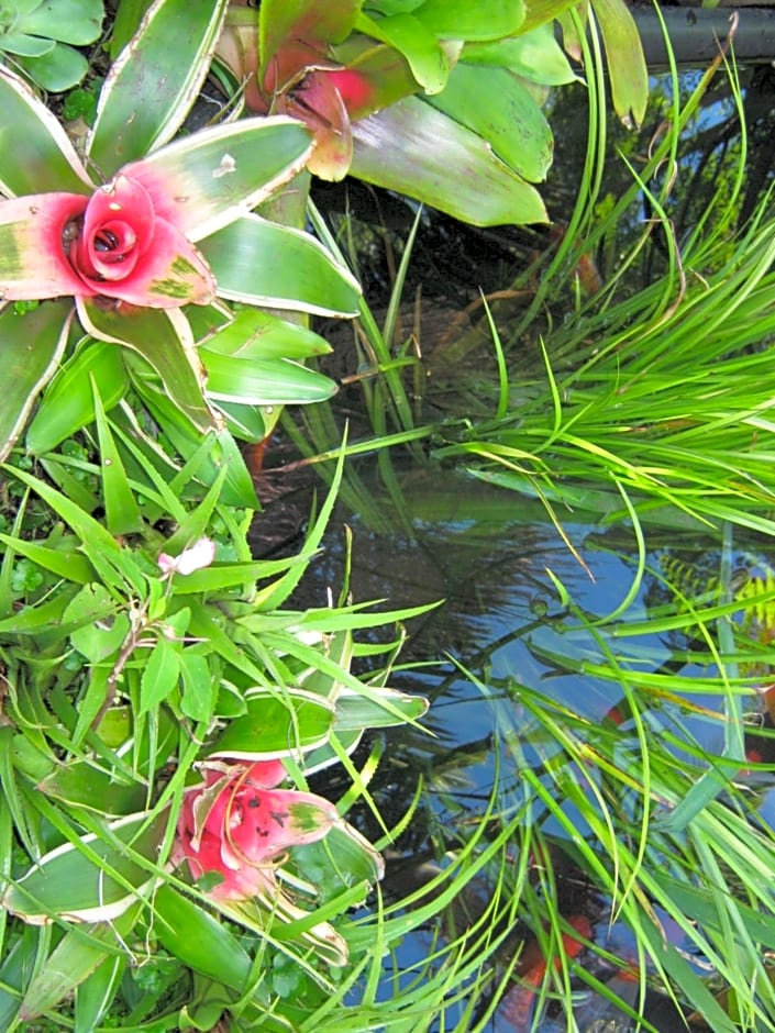 Peace and Plenty Inn