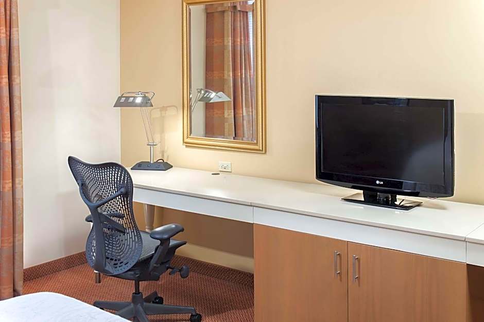 Hilton Garden Inn Mcallen