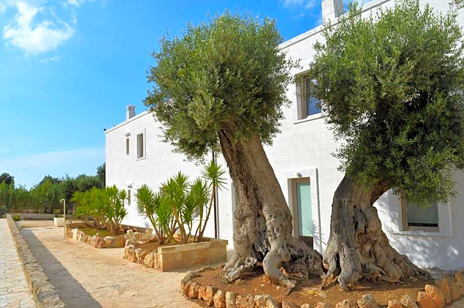 Masseria Torrepietra