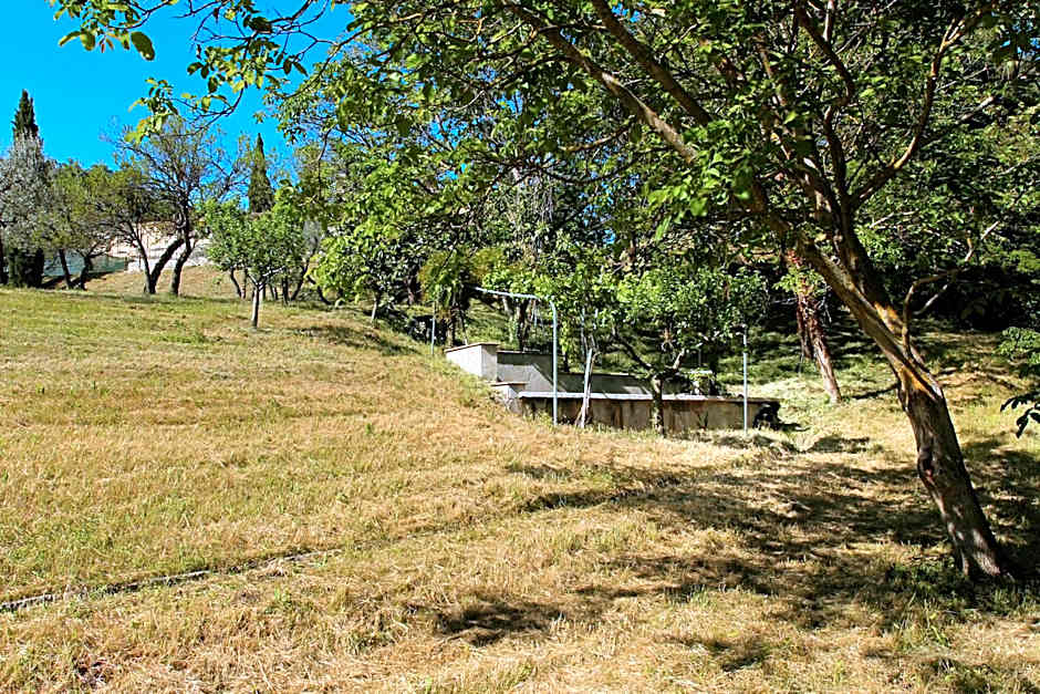 Villa Degli Ulivi