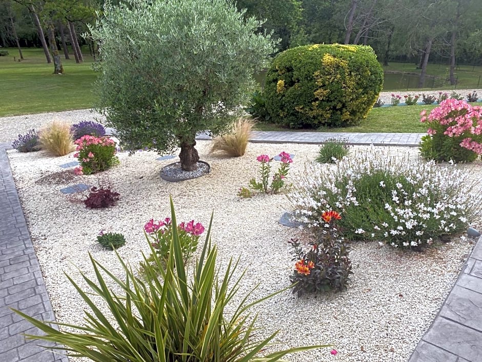 Les Pins Perdus