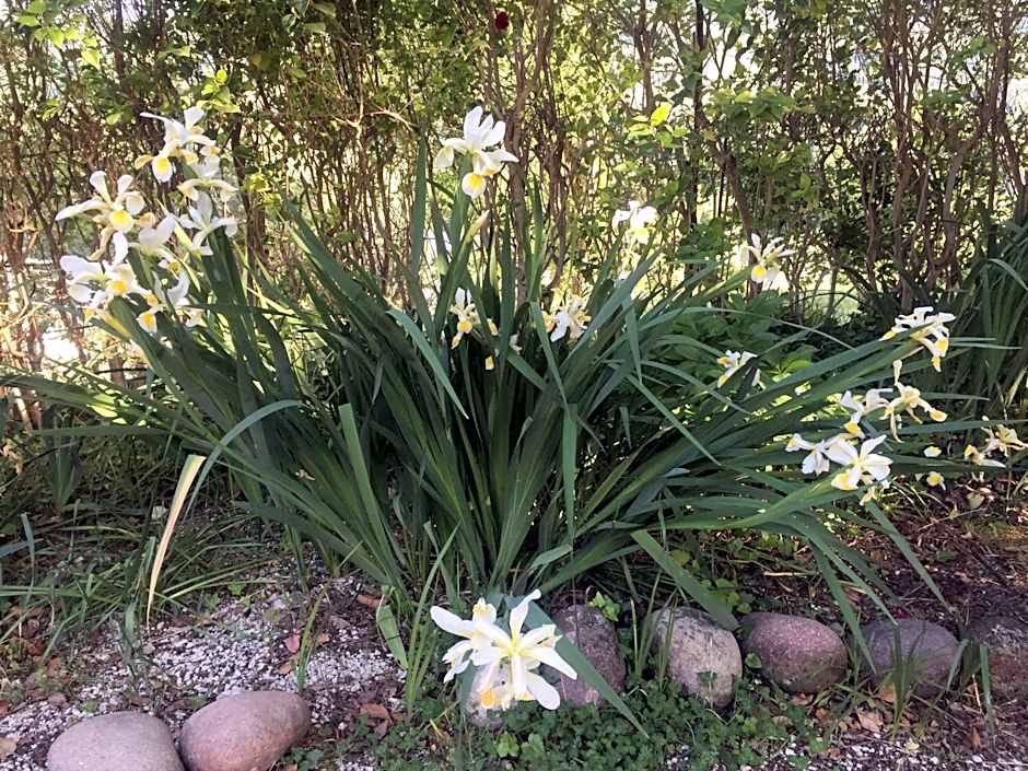 Green B&B Urbino Cá del vento