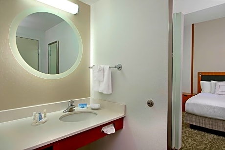 Studio, 1 King Bed with Sofa bed, Accessible, Non Smoking (Mobility & Hearing w/ Roll-in Shower)