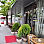 Mini Hotel