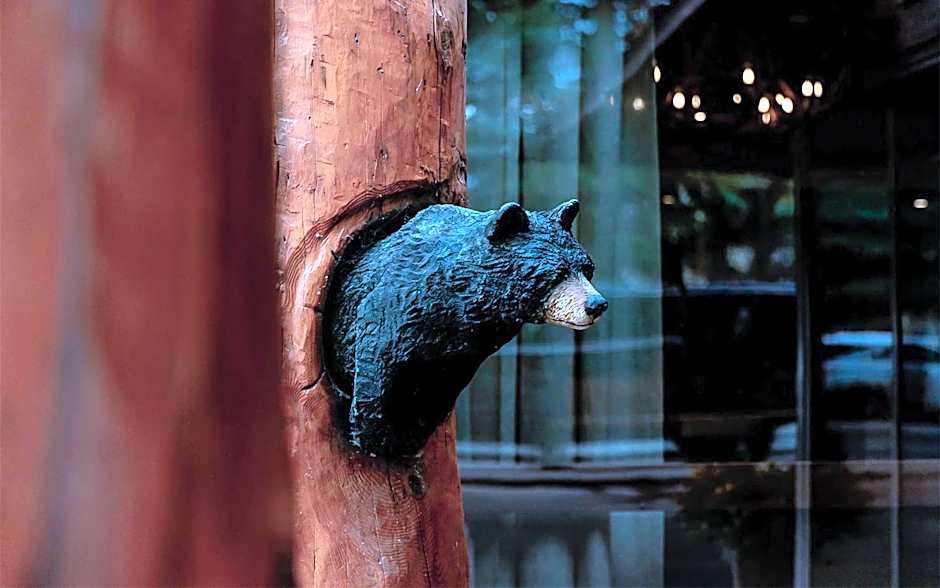 The Lodge At Jackson Hole