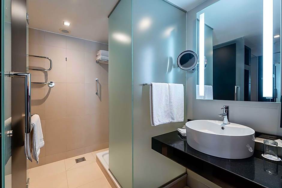 Radisson Blu Elizabete Hotel