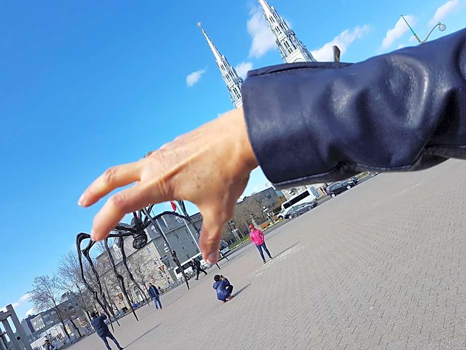 Kokomo Inn Tropical Riverfront B B