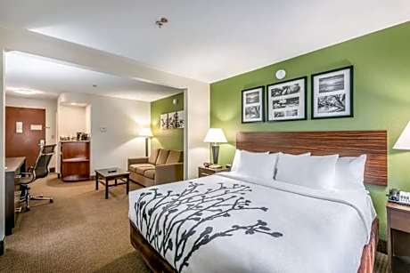 King Suite with Shower