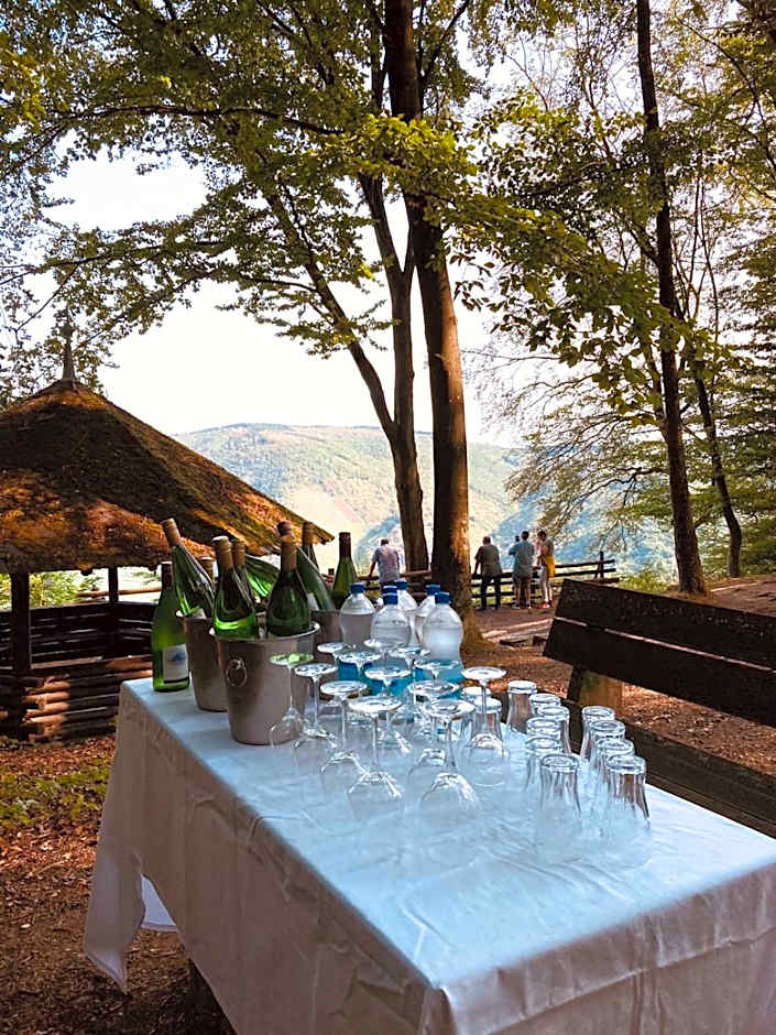 Hotel Haus Burg Metternich