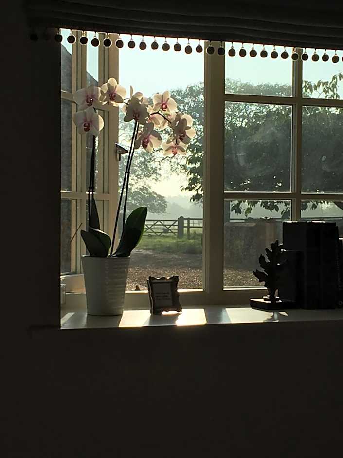 Hill Farm Bed and Breakfast