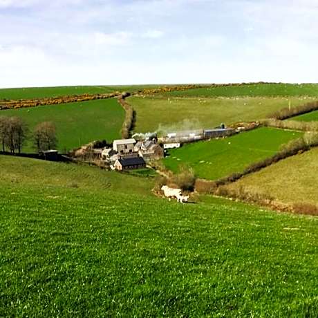Coombe Farm
