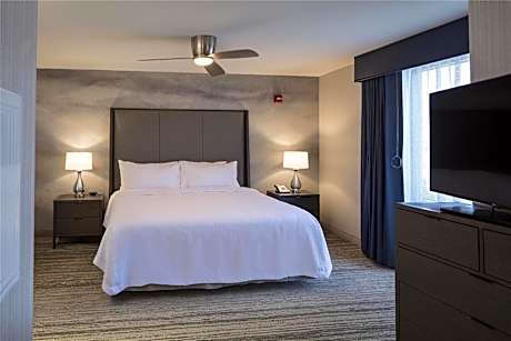 1 Kng Mobilty/Hearing Access Ri Shwr Studio Ns