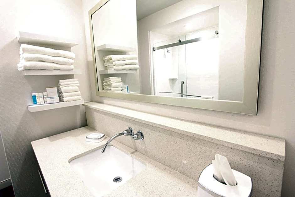 Hampton Inn By Hilton & Suites Dallas Market Center