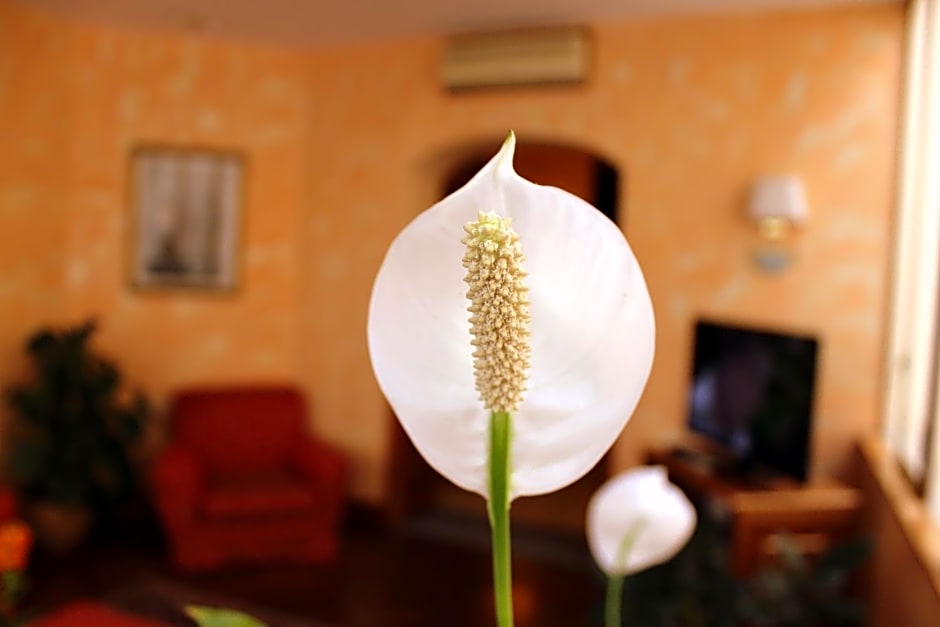 Hotel Beatrice