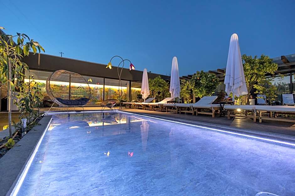 Vale de São Torcato Hotel Rural