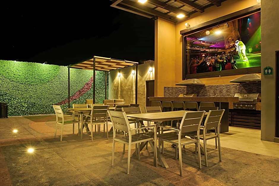 Wingate by Wyndham Chihuahua