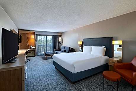 Deluxe King Room with Sofa Bed