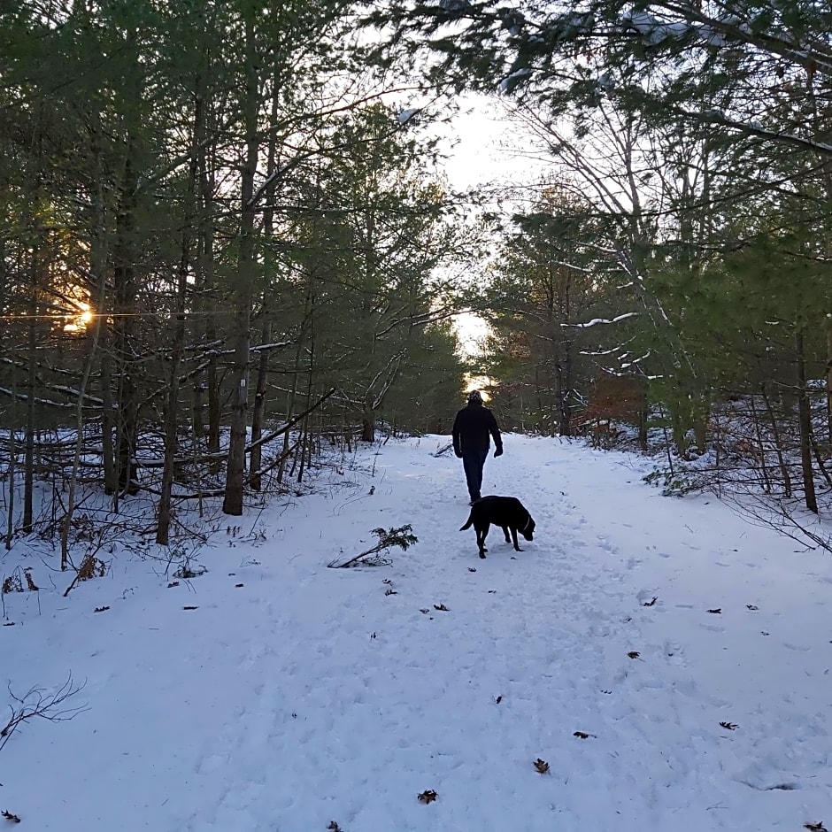 Blue Spruce Bed and Breakfast