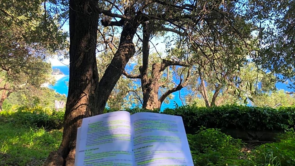 Villa Degli Ulivi B&B