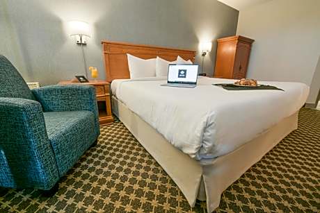 Classic Room with 1 king bed