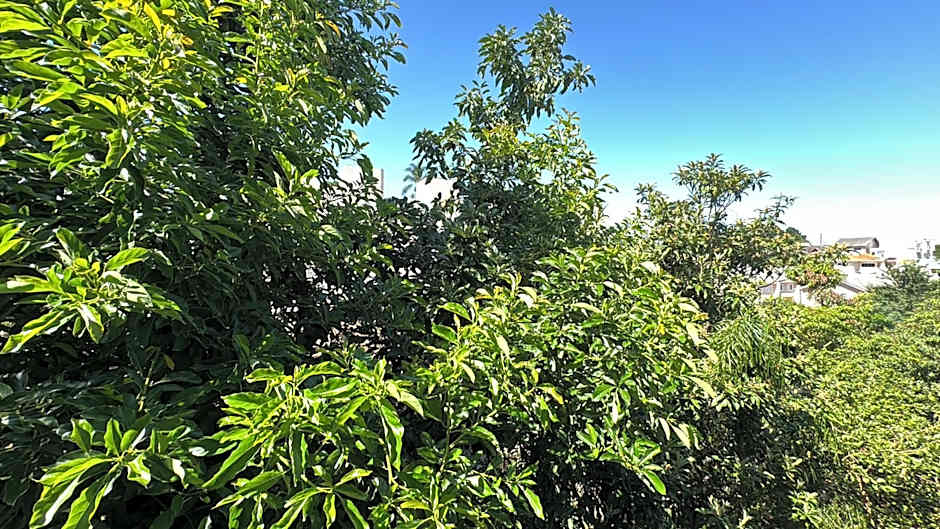 07-STUDIO ENCANTADOR PARA CASAL