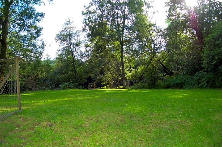 Luxury woodland Oak Lodge