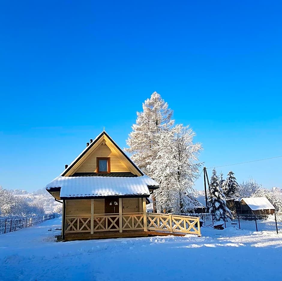 Eko domki MaMastra Szaflary