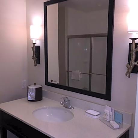 1 King Hearing Access Studio W/Sofabed Ns