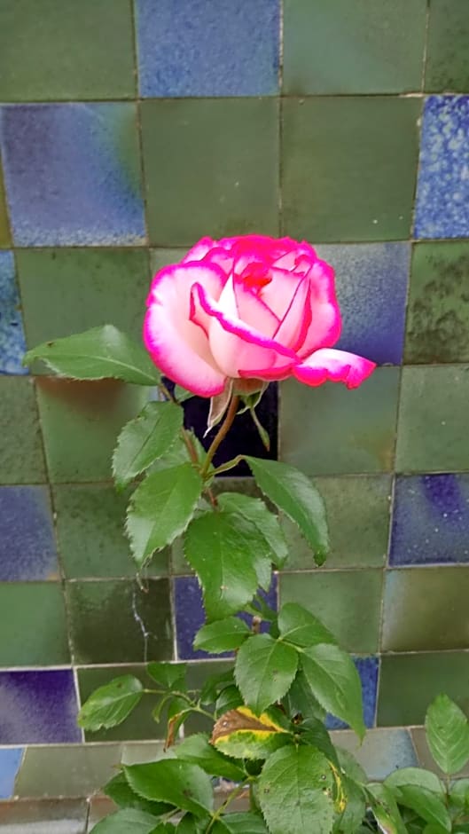 La "charcuterie" GREBER