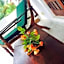 Chaya Villa Guest House