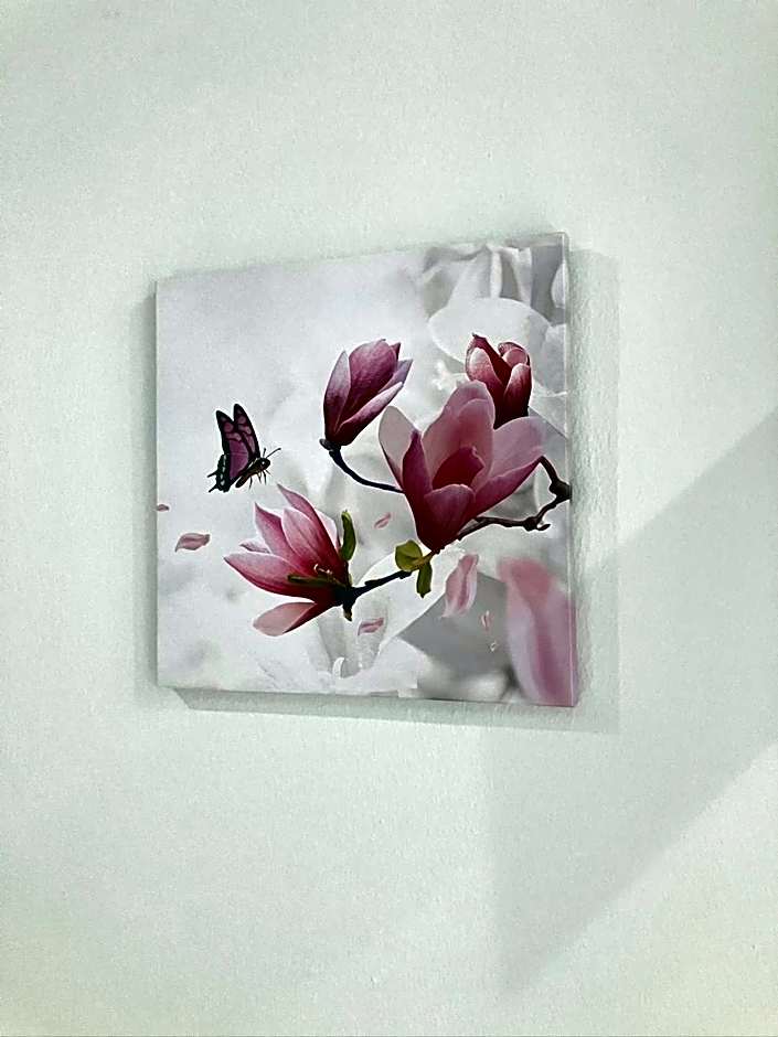 Hotel Saini with Air conditioning