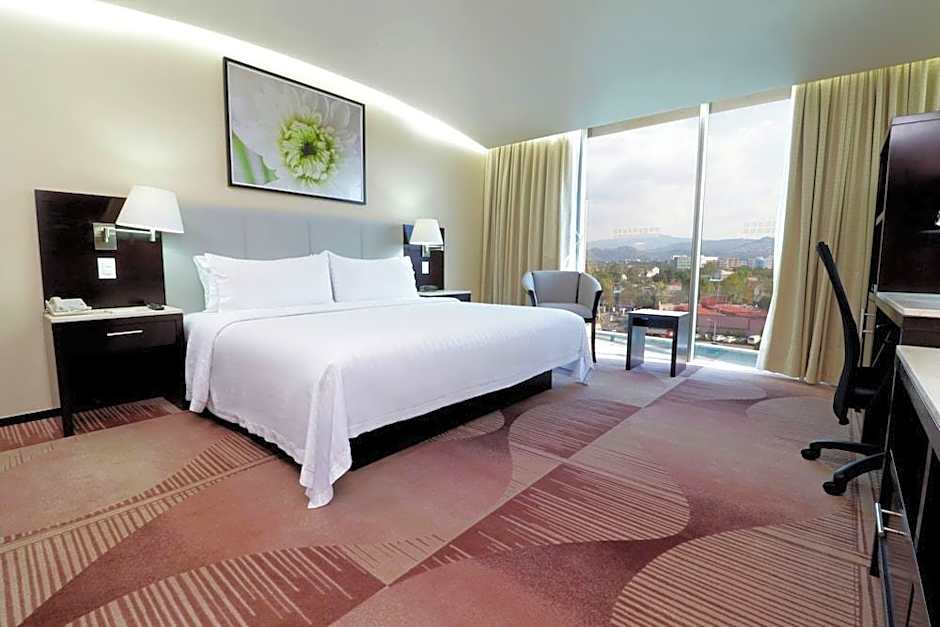Holiday Inn Hotel & Suites Mexico Medica Sur By IHG