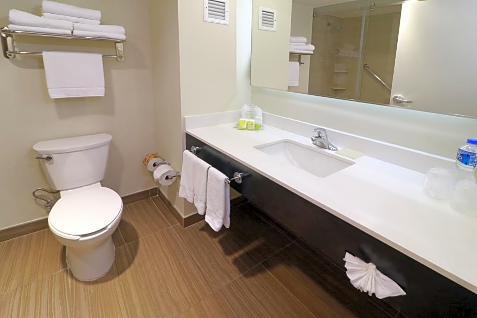 Holiday Inn Tampico Altamira By IHG