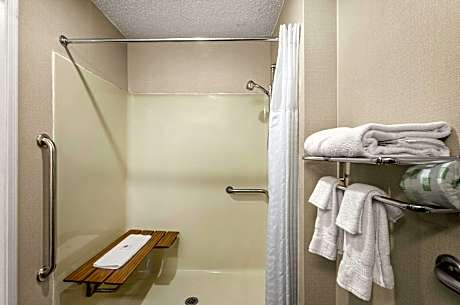 1 King Bed, Nonsmoking, Accessible