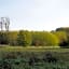 Ferme du bois de Veude