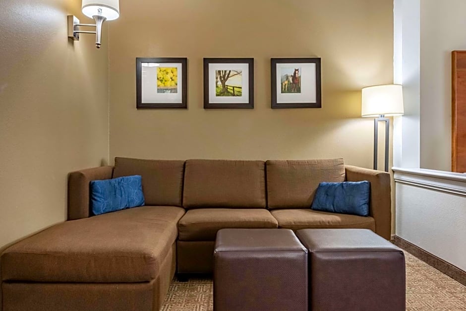Comfort Suites Hotel and Conference Center