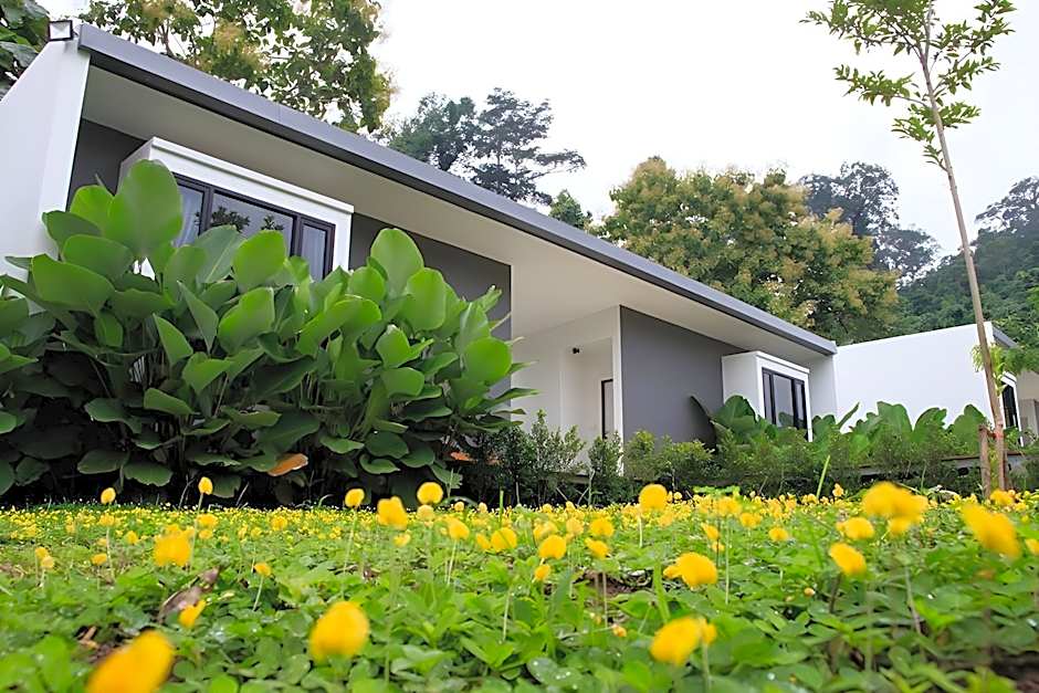 Villa De View