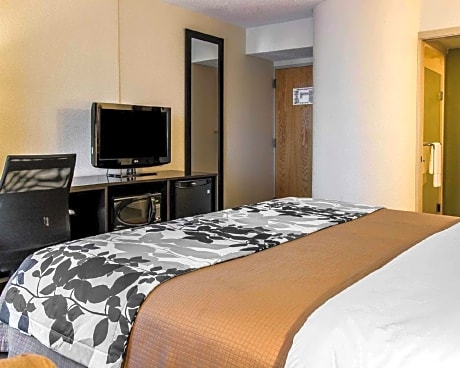 1 King Bed Nonsmoking
