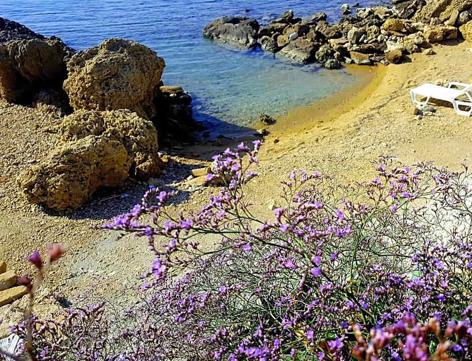 Residence "Il Faro"