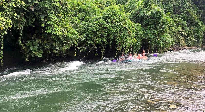 Green lodge tangkahan 