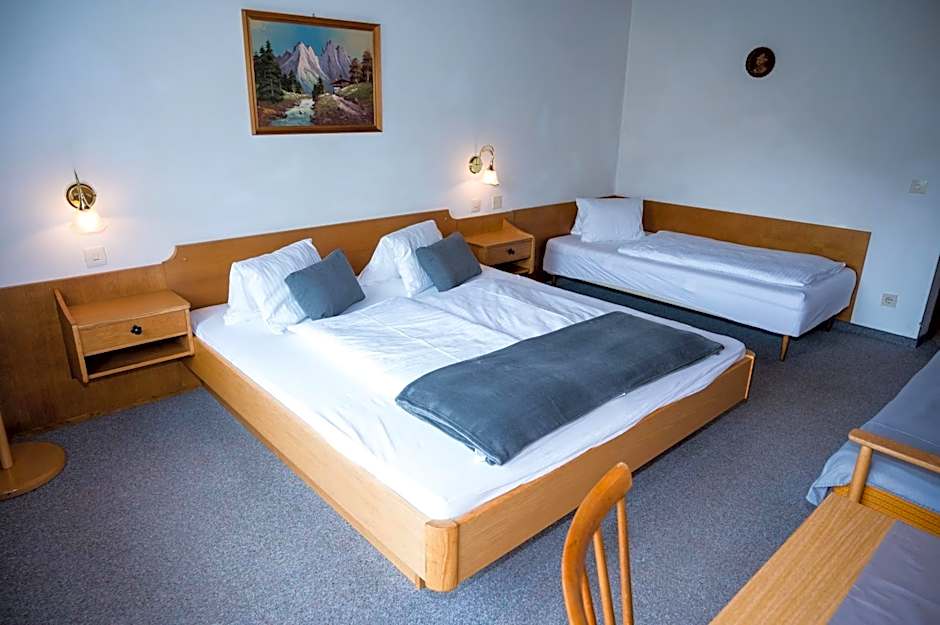 Landhaus-Pension Pattis