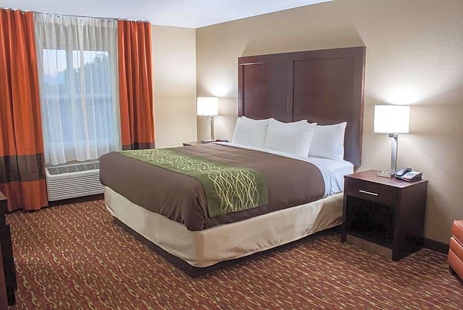 Comfort Inn & Suites Artesia