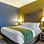 Comfort Suites Southgate