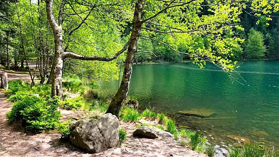 Logis Hotel des Lacs