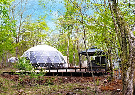 MOSS JURIGI CAMP RESORT