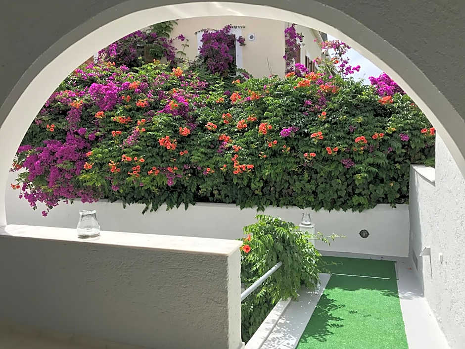 Sailor's Nautical Concept