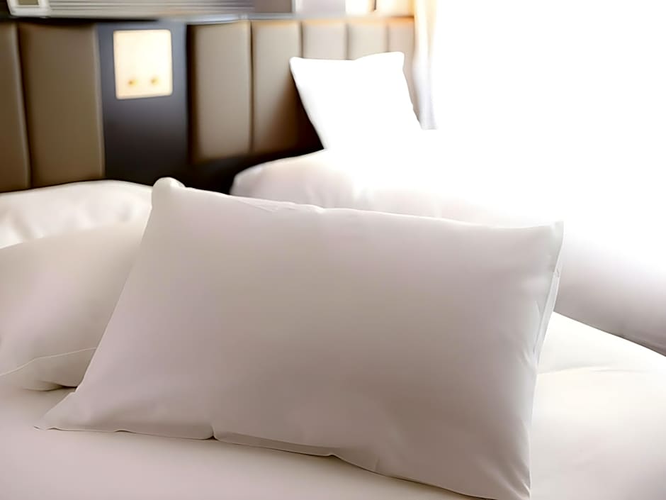 Apa Hotel Tsubamesanjo-Ekimae