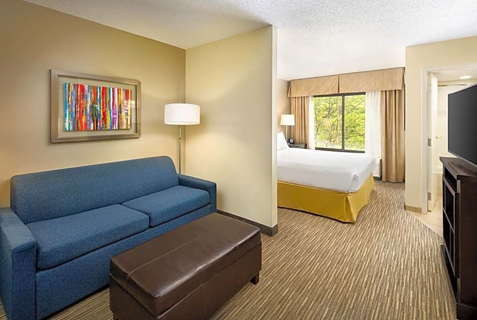 Holiday Inn Express & Suites Alpharetta By IHG