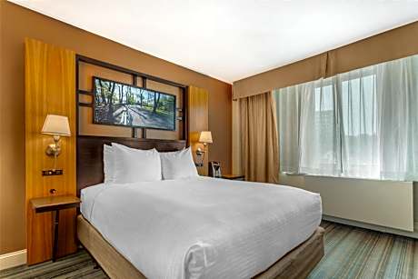 Queen Room with Roll-In Shower - Mobility Accessible/Communication Assistance/Non-Smoking